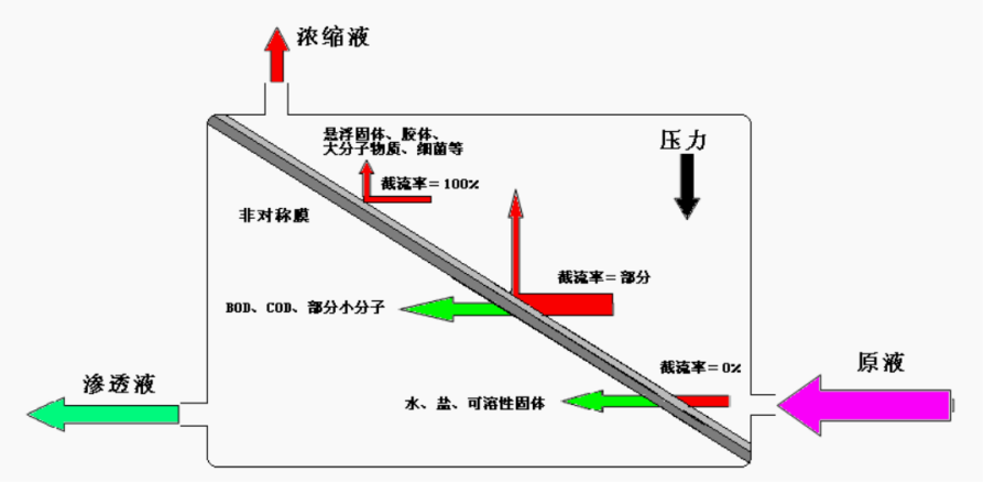 1663377224317113.jpg 3.jpg