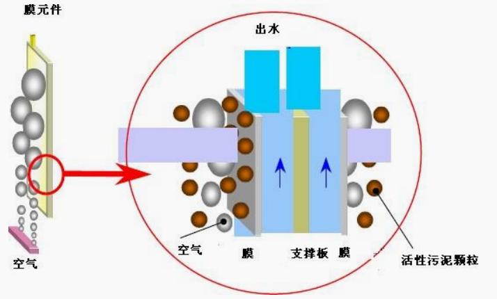 1666148706206536.jpg 9999999999999.jpg