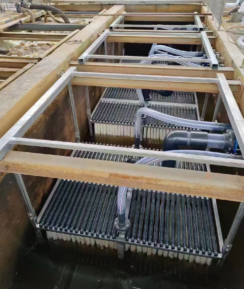 1739526929128426.jpg 1739526929128426.jpg